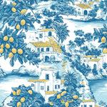 The_pattern_of_the_blue_and_white_toile_print fabric by the yard